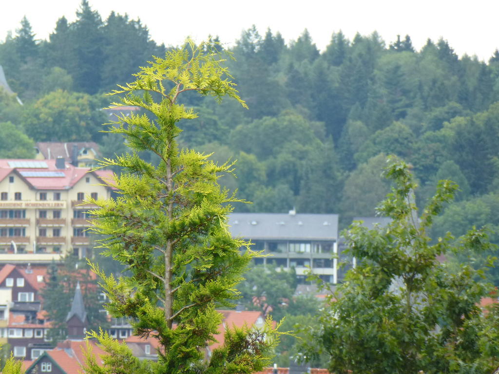 Harzhaus Willkommen Braunlage Eksteriør bilde